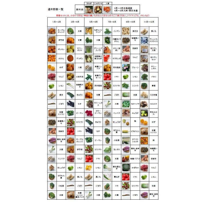 むつみ屋　旬の有機野菜セット10〜12品 |  | 01