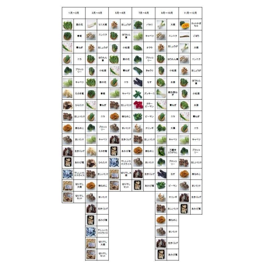 むつみ屋　旬の有機野菜セット10〜12品 |  | 02