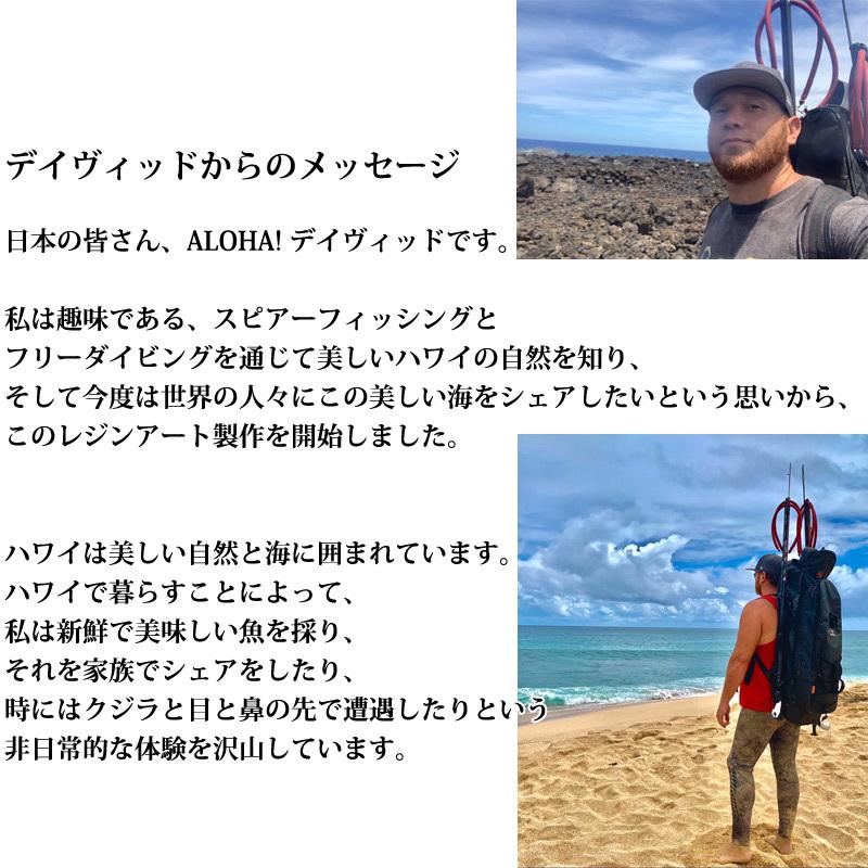 デイヴィッドペイン ハワイアン レジン アート Mサイズ 海 Kai インテリア プレゼント 贈り物 カイ リビング トイレ 新築祝い 新生活 おうち時間 ハワイ_4