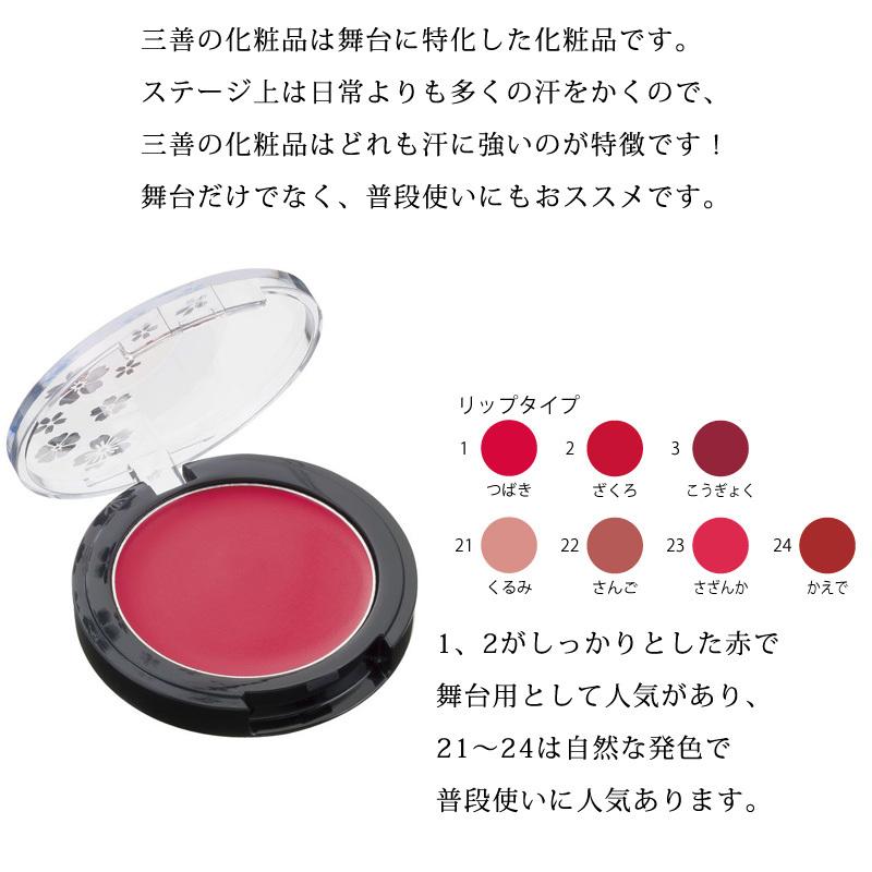 三善 宝紅 ダンス ステージ 化粧 フラ タヒチアン バレエ フラメンコ 舞台用化粧品｜muumuumama｜02