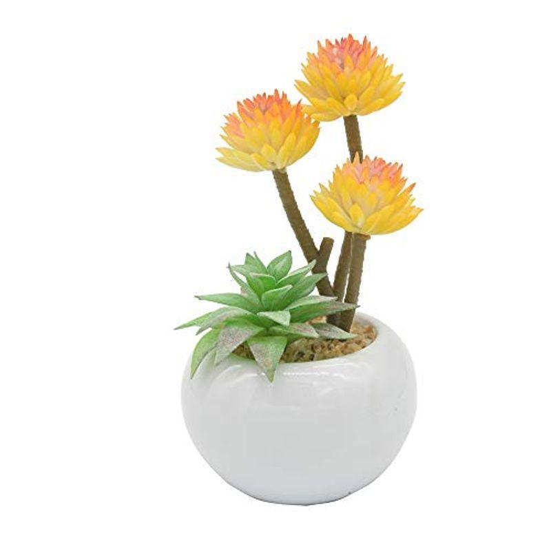 永遠の命 現代風 フラワーポット 家庭植物 花植物 ハーブ 観葉植物 室内 ホーム 庭 装 デコレーション セラミックの植木鉢 004 015 Muy Linda 通販 Yahoo ショッピング