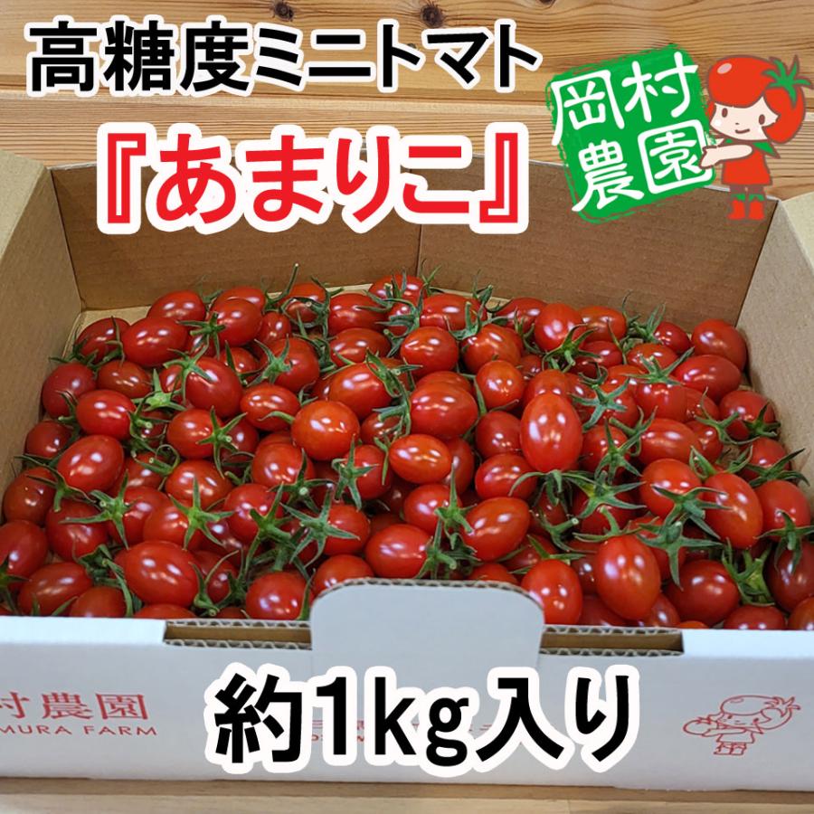ご予約は6/21（日）まで あまりこ（高糖度ミニトマト）約1kg 箱