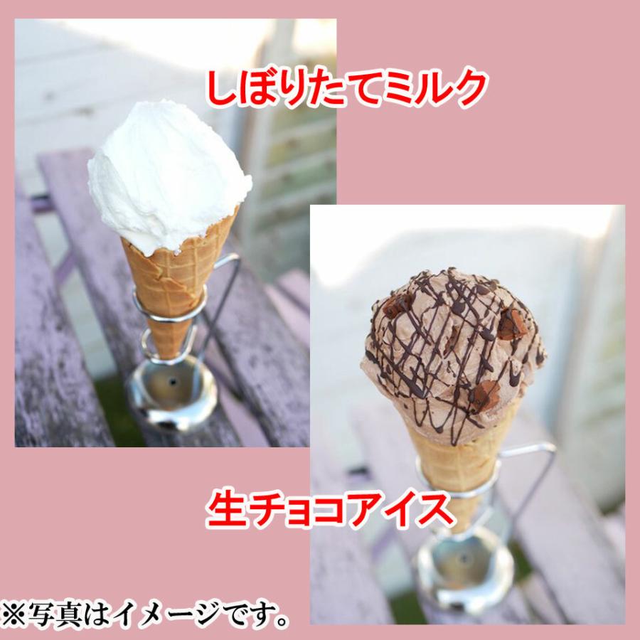 茅ヶ崎プレンティーズ】 アイスクリーム 6個セット （しぼりたて