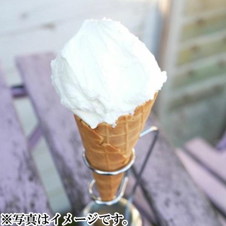 茅ヶ崎プレンティーズ しぼりたてミルクアイスクリーム 6個セット