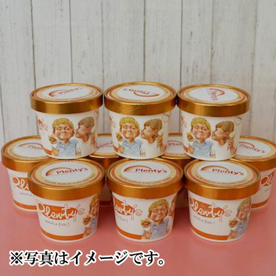 茅ヶ崎プレンティーズ アイスクリーム 10個セット : マックスバリュ
