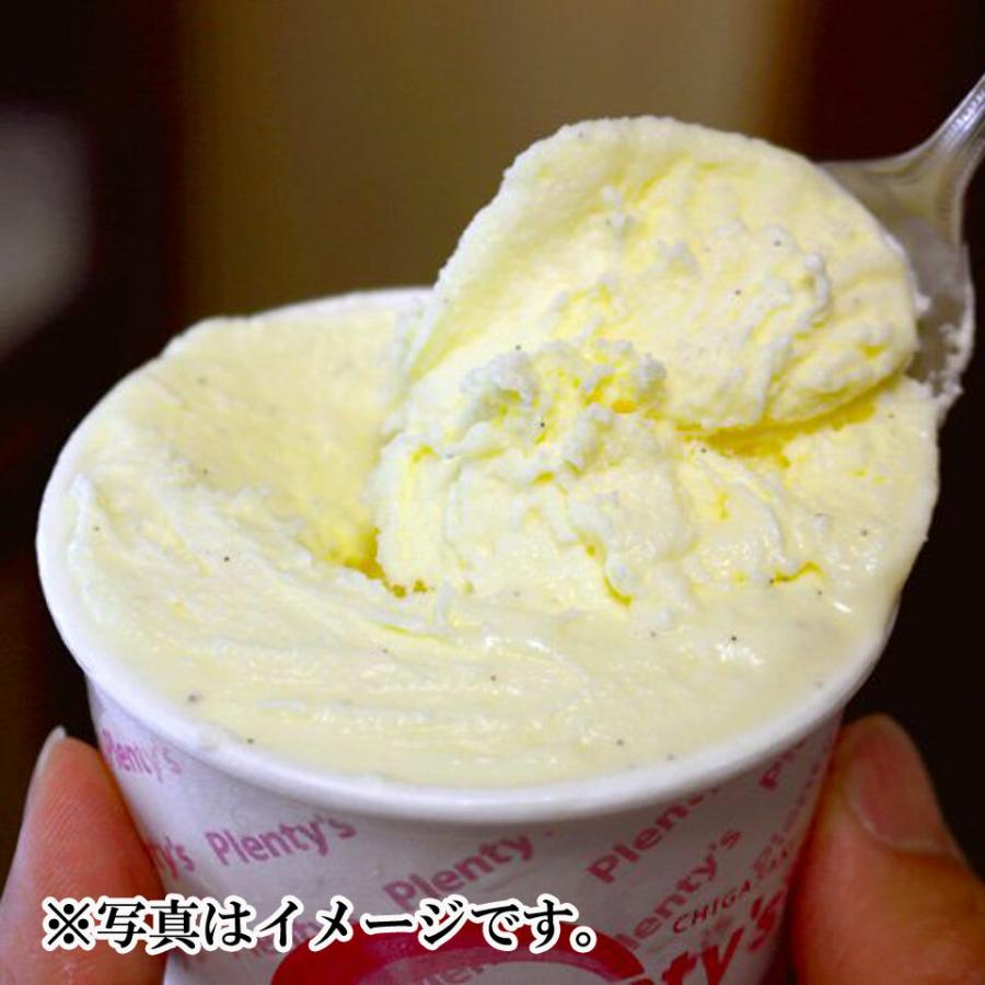 茅ヶ崎プレンティーズ アイスクリーム 10個セット : マックスバリュ