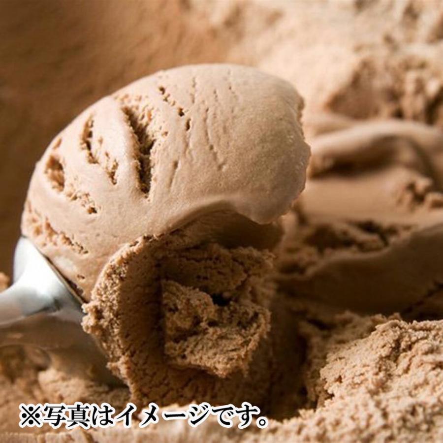 【茅ヶ崎プレンティーズ】 アイスクリーム  10個セット