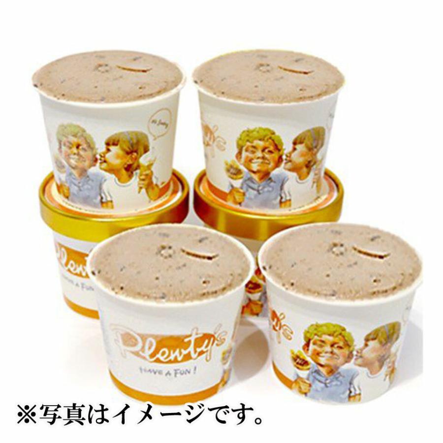 茅ヶ崎プレンティーズ アイスクリーム 6個セット（生チョコのみ