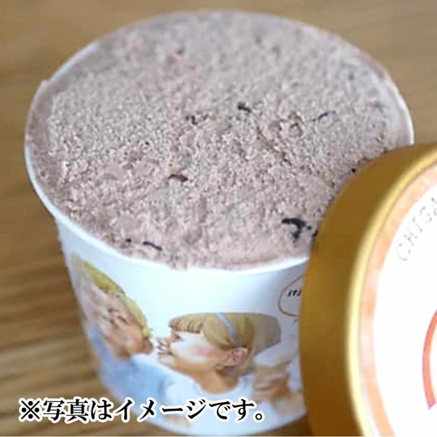 茅ヶ崎プレンティーズ アイスクリーム 6個セット（生チョコのみ