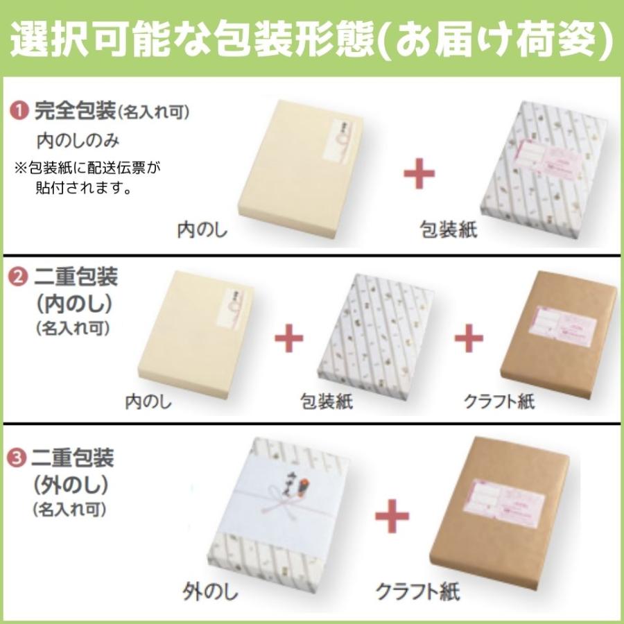 お中元 P＆G ボールドジェルボールギフトセット 型番：PGJB