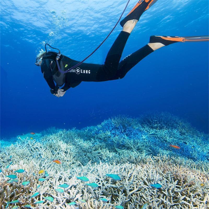 【最終値下げ】 ミニタンクレスダイビングシステム、ポータブル充電式ダイビングシステム、最大10m、70000mAh / 5時間のダイビング深度は、70000mah/5 hour 【BC2497678957】(89443円)