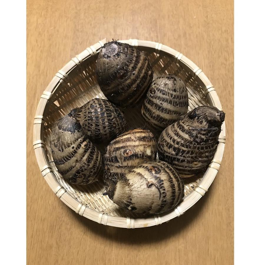 海老芋　500g |  | 01