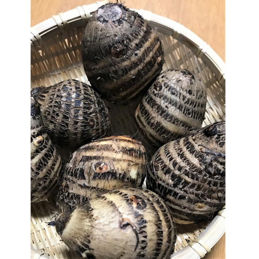 海老芋　500g |  | 02