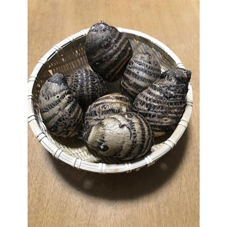 海老芋　1kg |  | 01