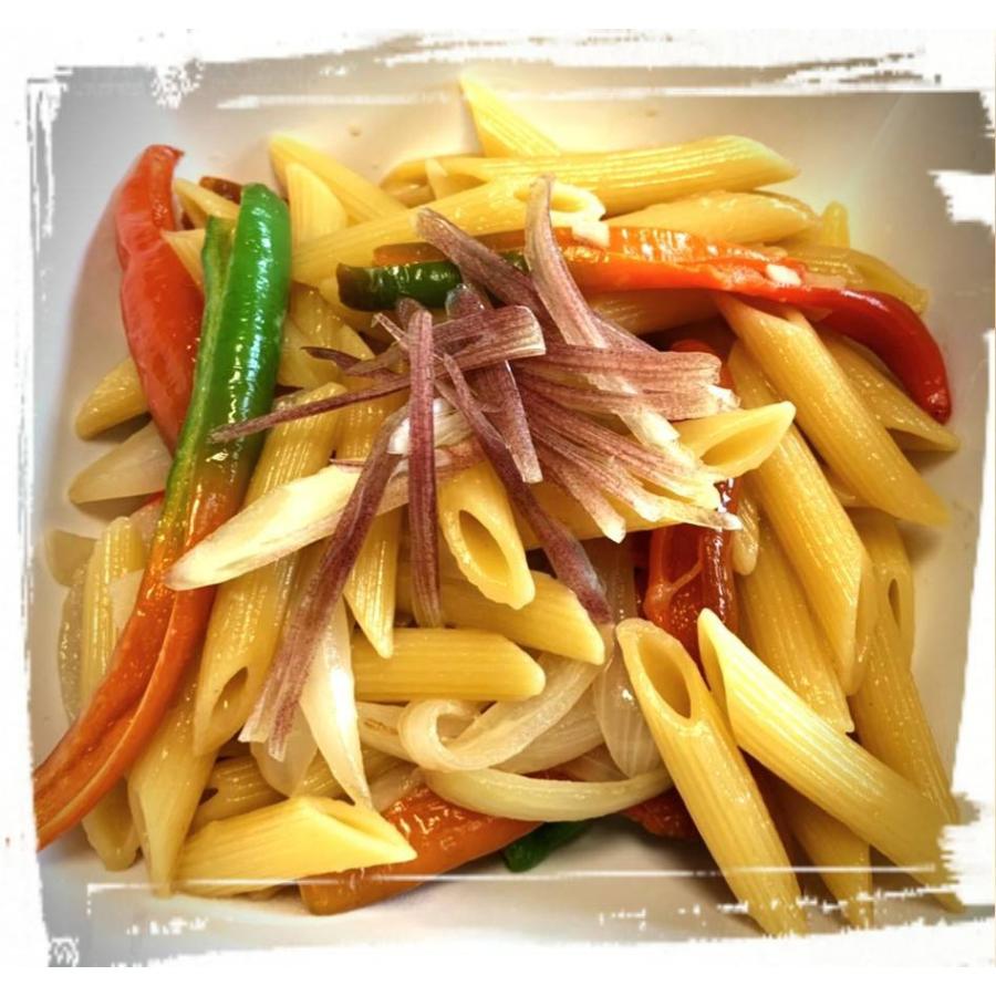 万願寺とうがらし(青)　500ｇ |  | 04