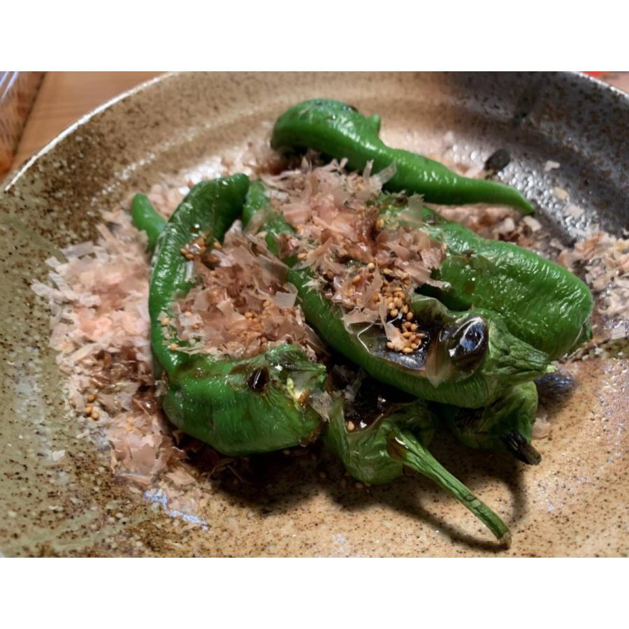 万願寺とうがらし(青)　500ｇ |  | 05