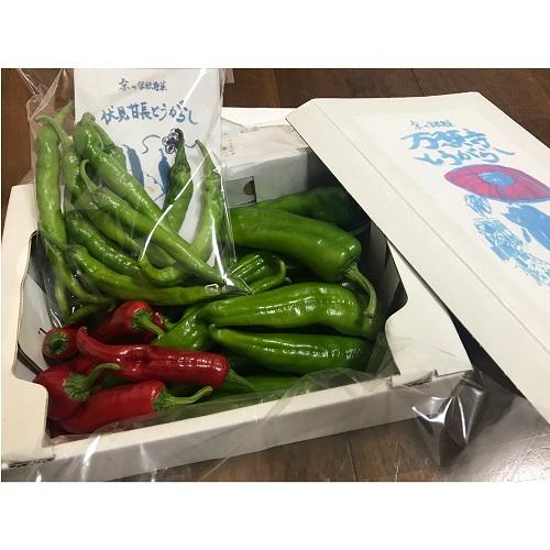 万願寺とうがらし（青・赤）&伏見甘長mix 500g | 