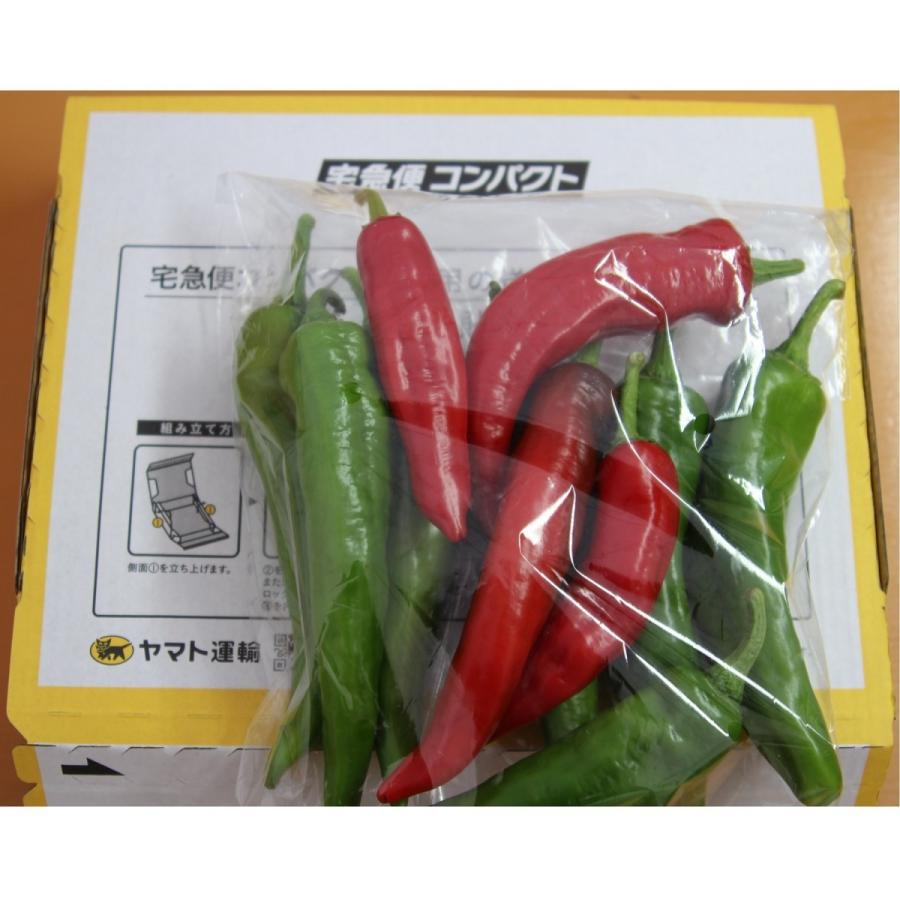 万願寺とうがらし（青・赤）300g |  | 01