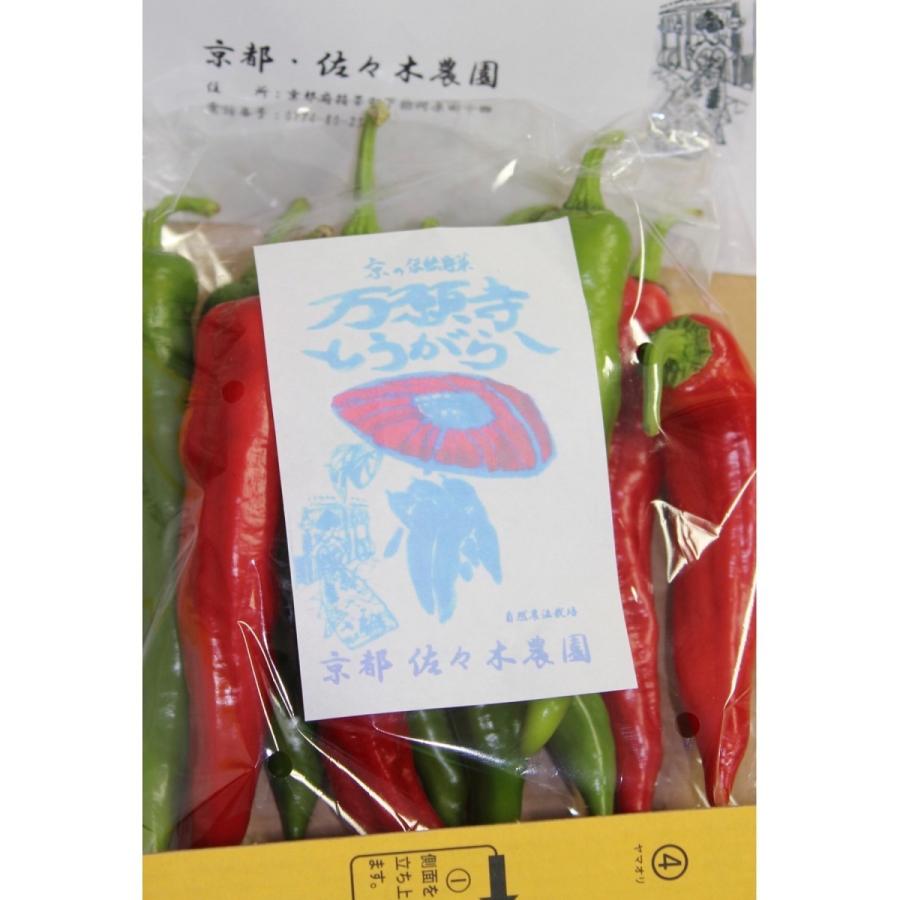 万願寺とうがらし（青・赤）300g |  | 04