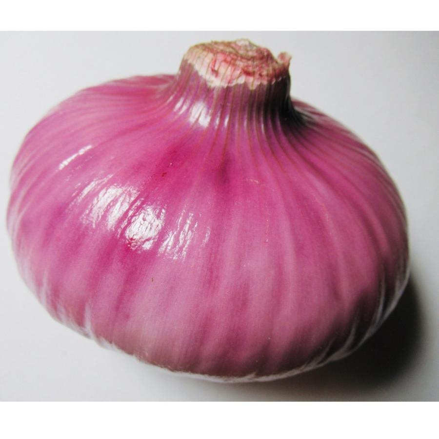 赤タマネギ 10kg |  | 02
