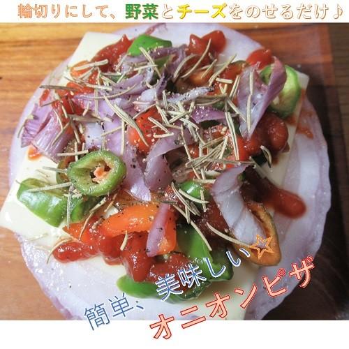 赤タマネギ 10kg |  | 05