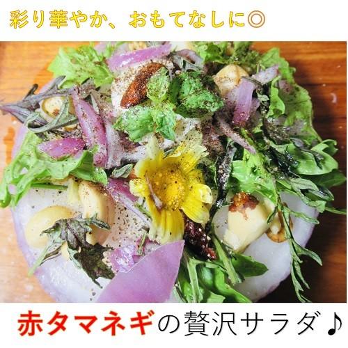 赤タマネギ 10kg |  | 06