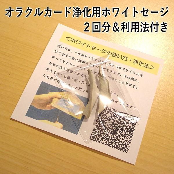 パストライフ 前世のあなたを知って今を変える44枚のオラクルカード