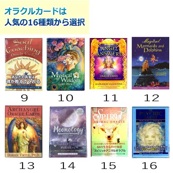 全てが揃うオラクルカード・マスターセット カード・ポーチ 全てが揃うオラクルカード・マスターセット カード・ポーチ