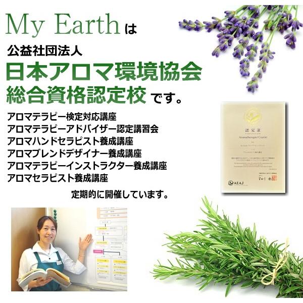 アロマテラピー　アロマブレンドデザイナー　AEAJ公式テキスト【メール便可】｜my-earth｜03