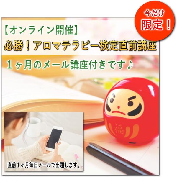 クーポンあり アロマ検定独学はコレでok アロマテラピー検定パーフェクトセット 実習もできる マル秘検定対策付き Aeaj認定校 Ar Ak S001 ヒーリング雑貨の専門店 My Earth 通販 Yahoo ショッピング