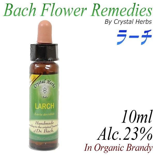 フラワーレメディ　バッチシリーズ（フラワーエッセンス）　ラーチ　10ml（オーガニックブランデー使用）｜my-earth