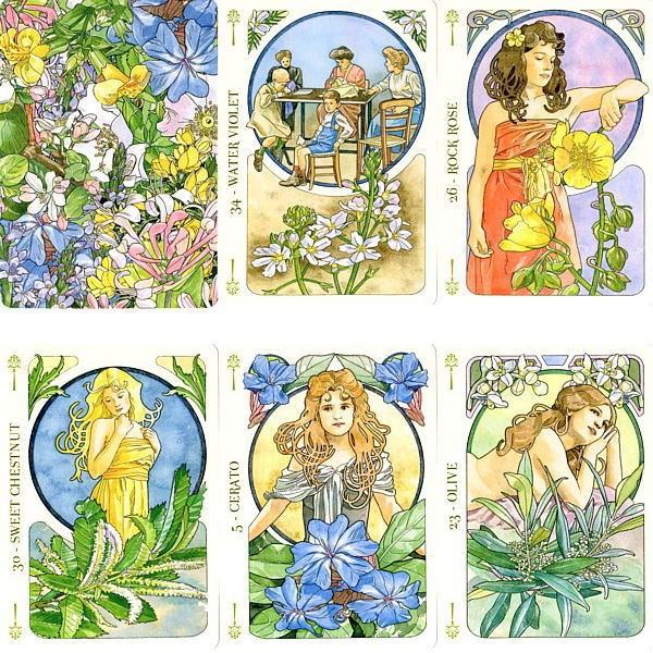 クーポンあり フラワーオラクルカード 38枚のバッチシリーズフラワーレメディ Fe Bf 043 ヒーリング雑貨の専門店 My Earth 通販 Yahoo ショッピング