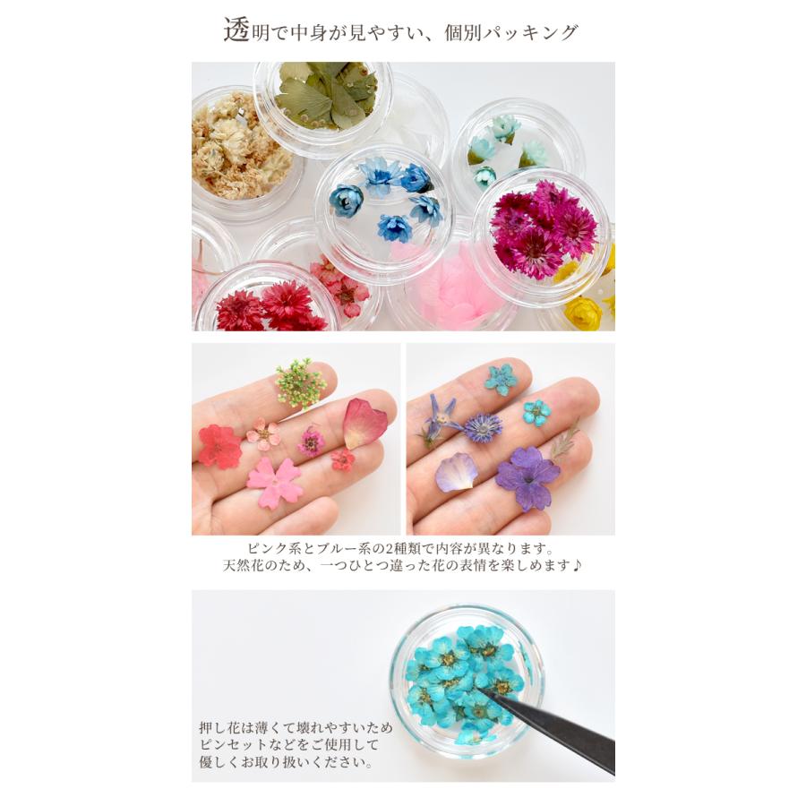 押し花セット レジンパーツ フラワーチャーム ジェルネイル Iphoneケース スマホケース Uvレジン レジン 封入 材料 パーツ 手作り工房 Mymama Paypayモール店 通販 Paypayモール