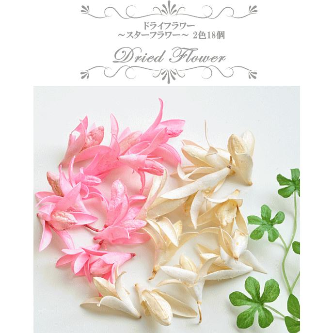 訳あり ドライフラワー スターフラワー 2色18個 ハンドメイド 手芸 手作り アクセサリー ピアス イヤリング ネックレス 素材 天然 手作り工房 Mymama Paypayモール店 通販 Paypayモール