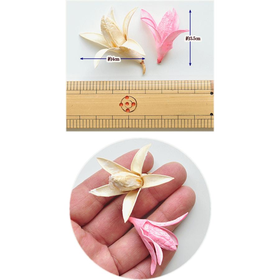 訳あり ドライフラワー スターフラワー 2色18個 □ ハンドメイド 手芸 