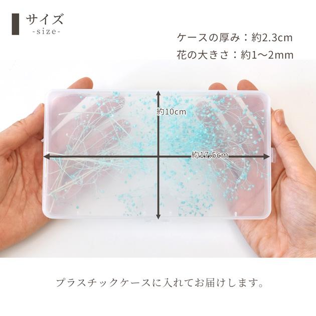 MY mama ドライフラワー かすみ草 全3色 □ レジン ハーバリウム