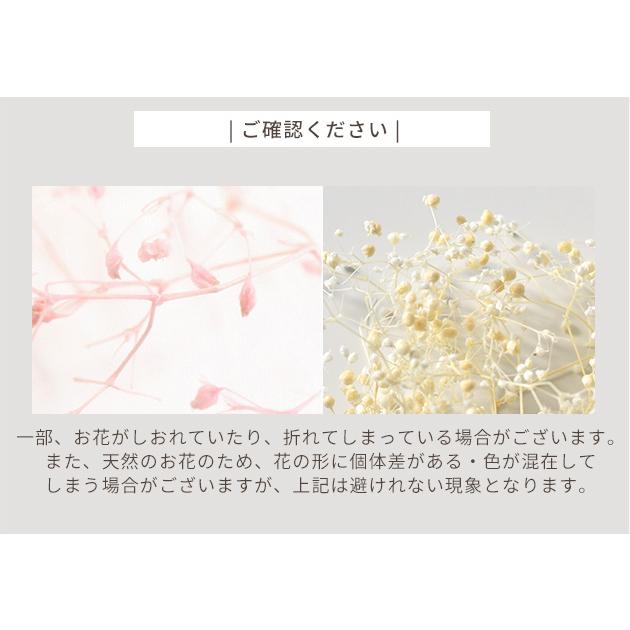 MY mama ドライフラワー かすみ草 全3色 □ レジン ハーバリウム