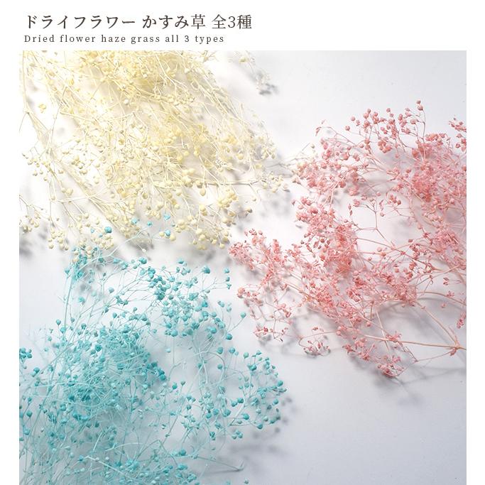 MY mama ドライフラワー かすみ草 全3色 □ レジン ハーバリウム