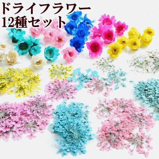押し花入りクローバードーム型レジンヘアゴム