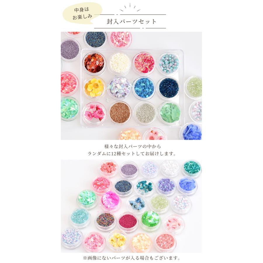 レジン 封入 パーツ あれこれ セット □ 花材 パール ホログラム