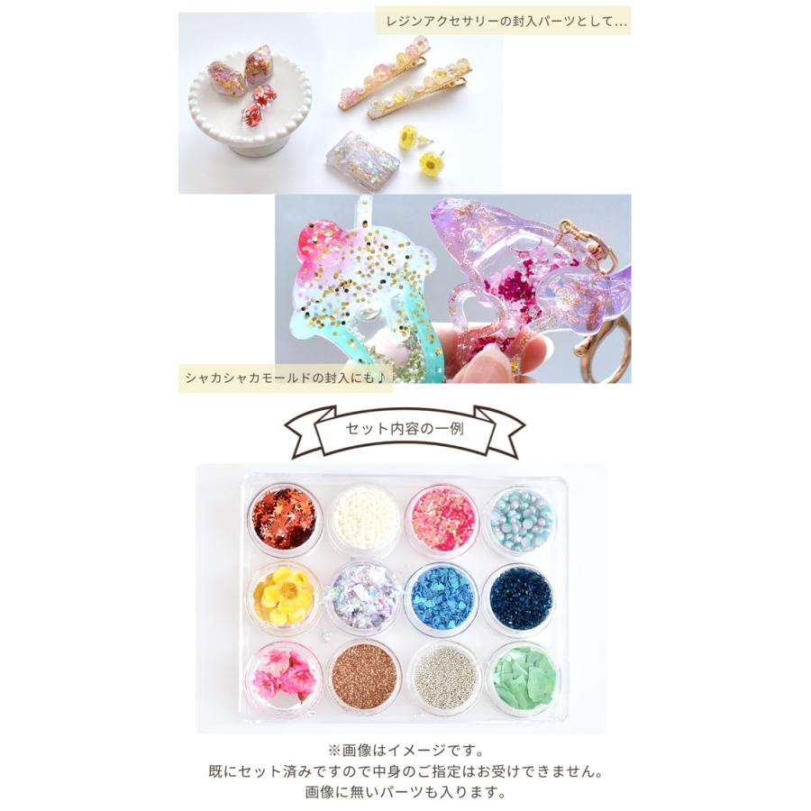 レジン 封入 パーツ あれこれ セット □ 花材 パール ホログラム