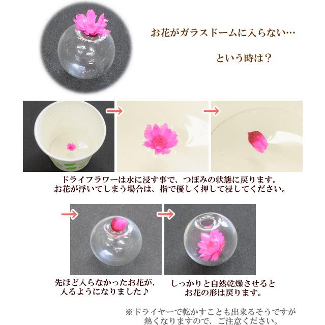 HANDMADE ハーバリウム ネオンカラー 2本セット MY mama ボールペン 卸売り 着せ替え 同色 or ミックス 14本