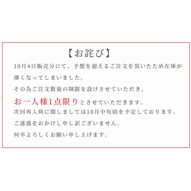 レジン液 レジン 大容量 UV LED 100g 超低粘度 高粘度 Mymama 改良版 持続する透明 トゥジュール toujours ■ レジン液 安い 業務用 手芸■ MYr｜my-mama｜20