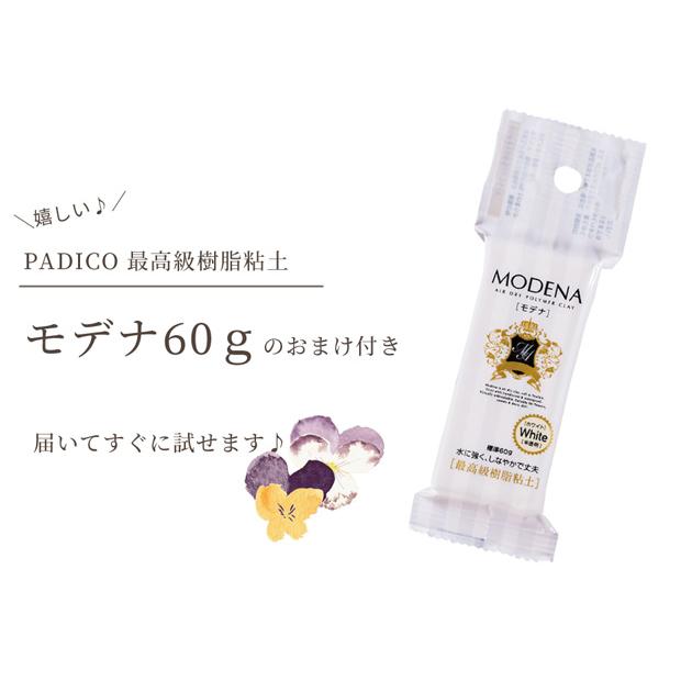 MY mama パジコ PADICO モデナ おまけ付き ケース付き スパチュラ 10本