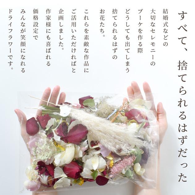 MY mama サステナブル ドライフラワー □ SDGs レジン アクセサリー