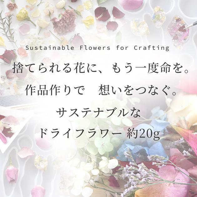 MY mama サステナブル ドライフラワー 約20g ロスフラワー □ SDGs