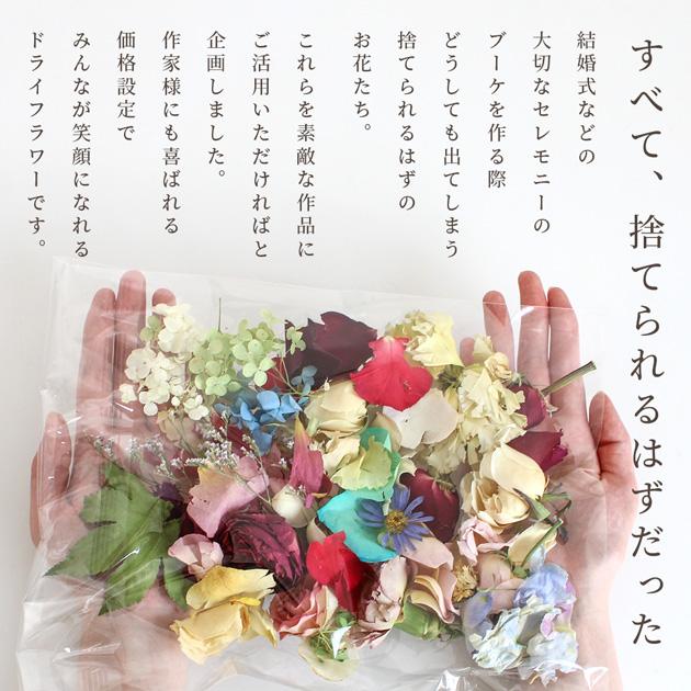MY mama サステナブル ドライフラワー 約20g ロスフラワー □ SDGs