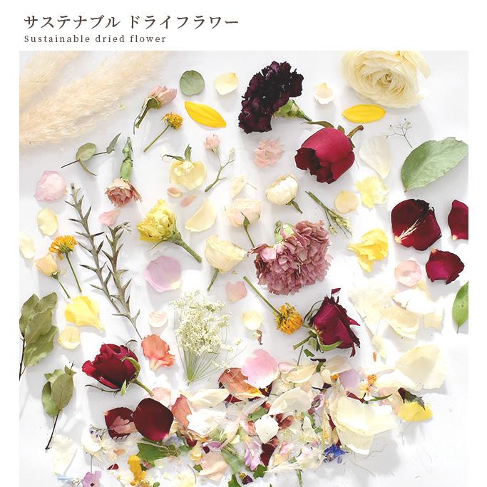 MY mama サステナブル ドライフラワー □ SDGs レジン アクセサリー