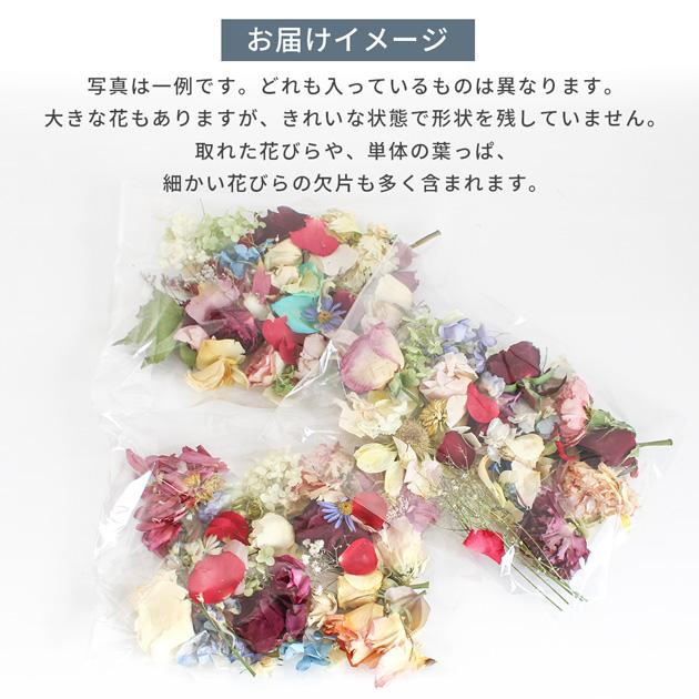 MY mama サステナブル ドライフラワー 約20g ロスフラワー □ SDGs