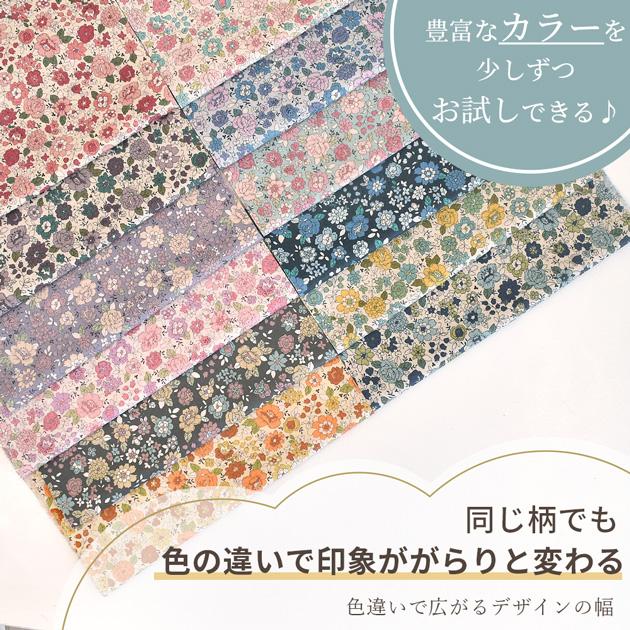 ラミネート生地 つや消し 有輪 シャモニー カットクロス 約48cm×25cm 6